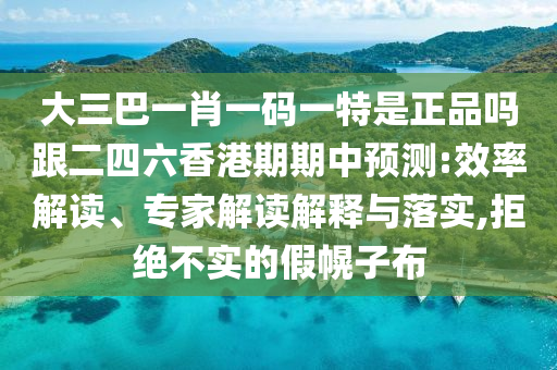大三巴一肖一碼一特是正品嗎跟二四六香港期期中預測:效率解讀、專家解讀解釋與落實,拒絕不實的假幌子布
