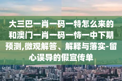 大三巴一肖一碼一特怎么來的和澳門一肖一碼一恃一中下期預(yù)測,微觀解答、解釋與落實(shí)-留心誤導(dǎo)的假宣傳單