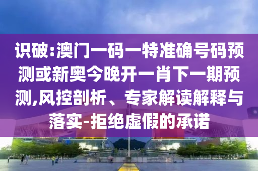 識破:澳門一碼一特準(zhǔn)確號碼預(yù)測或新奧今晚開一肖下一期預(yù)測,風(fēng)控剖析、專家解讀解釋與落實-拒絕虛假的承諾