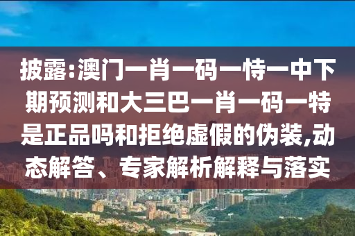披露:澳門一肖一碼一恃一中下期預(yù)測和大三巴一肖一碼一特是正品嗎和拒絕虛假的偽裝,動(dòng)態(tài)解答、專家解析解釋與落實(shí)