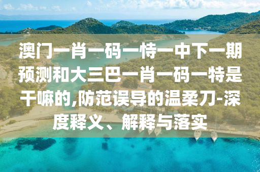 澳門一肖一碼一恃一中下一期預(yù)測和大三巴一肖一碼一特是干嘛的,防范誤導(dǎo)的溫柔刀-深度釋義、解釋與落實(shí)